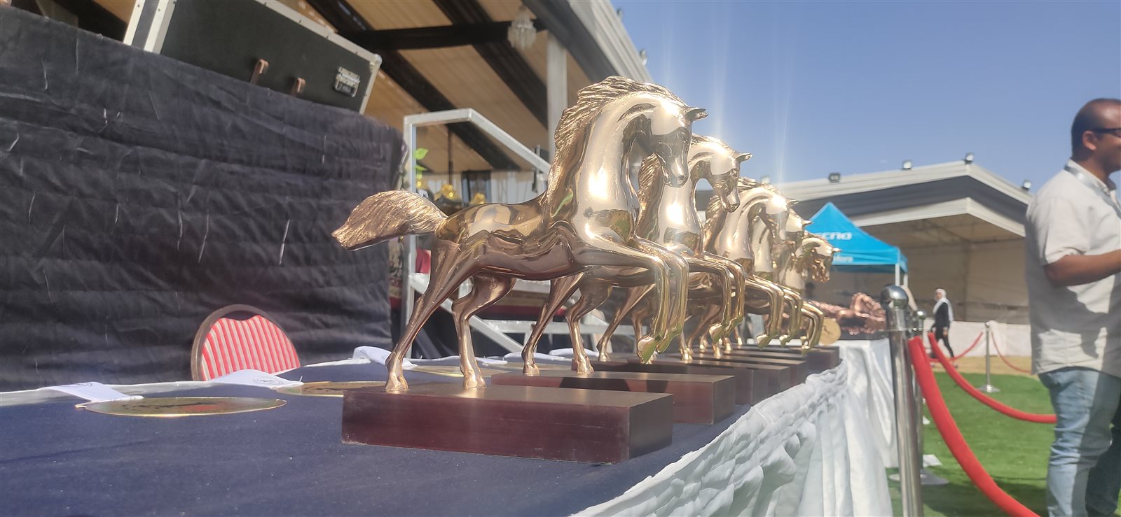 جوائز المهرجان 01