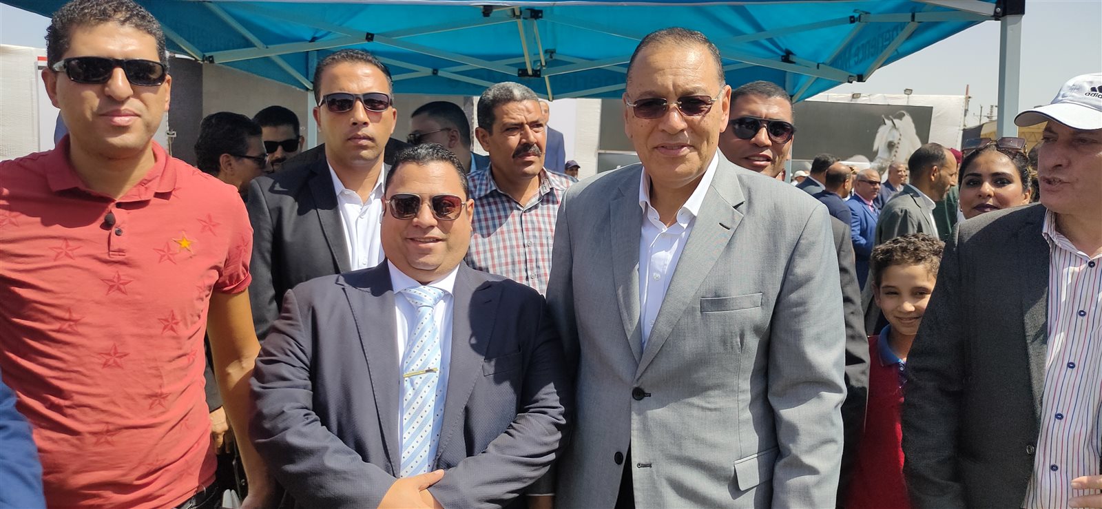 مهرجان الشرقية للخيول العربية الأصيلة