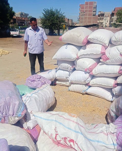 المضبوطات 02