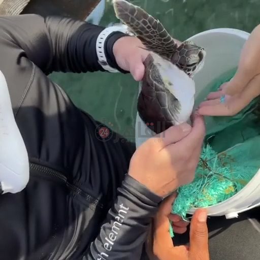 IMG_٢٠٢٢١٠٠٥_١٠٠٨١٦٢٥