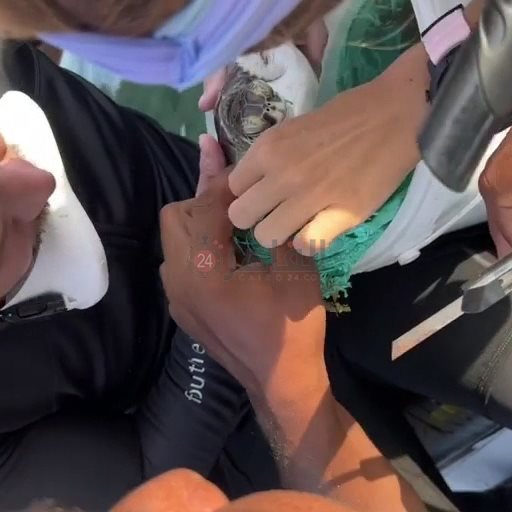 IMG_٢٠٢٢١٠٠٥_١٠٠٧٥٤١٤