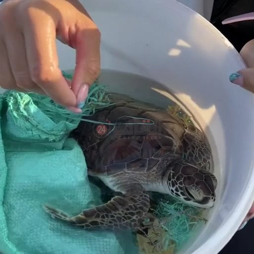 IMG_٢٠٢٢١٠٠٥_١٠٠٧١٥٠٦