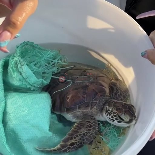 IMG_٢٠٢٢١٠٠٥_١٠٠٧١٣١٧