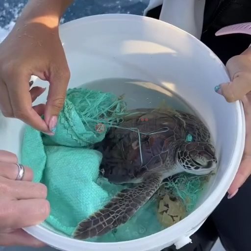 IMG_٢٠٢٢١٠٠٥_١٠٠٧٠٦٠٢