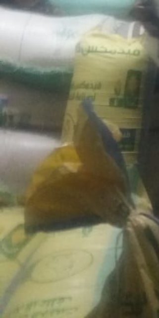 الأرز المضبوط 01