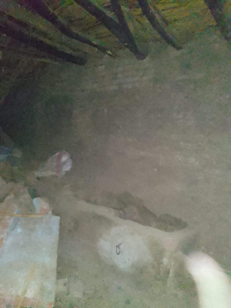 FB_IMG_1666209226065