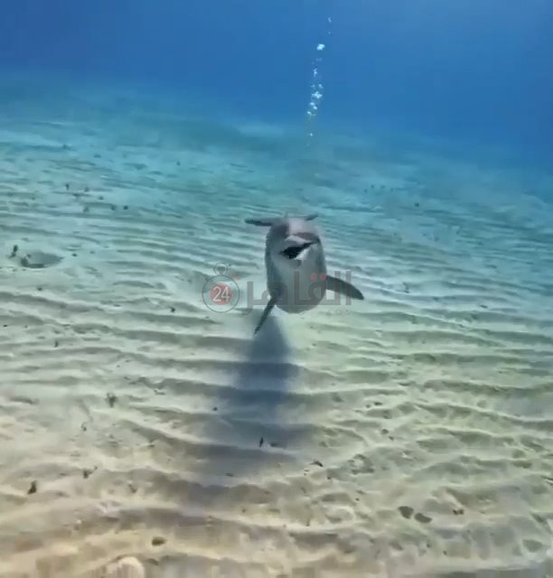 IMG_٢٠٢٢١٠٢٢_١١٥٢٢٣٧٤