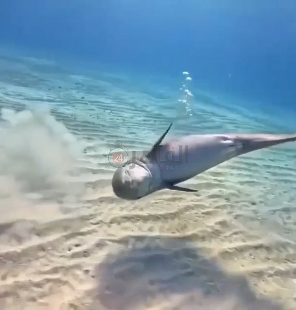 IMG_٢٠٢٢١٠٢٢_١١٥١٢٨١٦