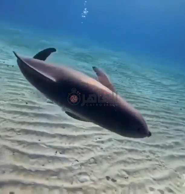 IMG_٢٠٢٢١٠٢٢_١١٥١٢٠٧٠