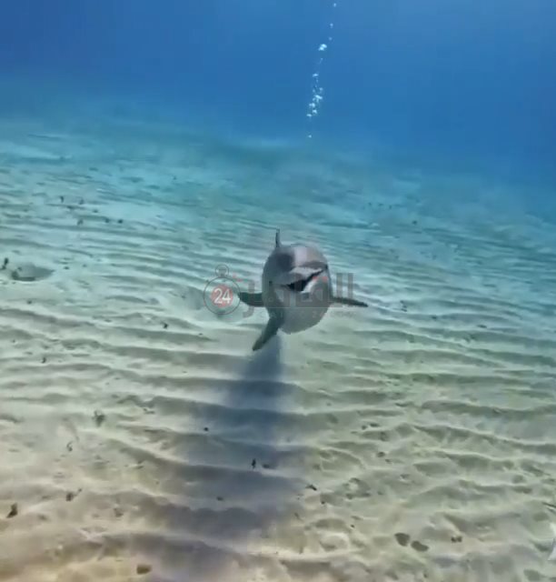 IMG_٢٠٢٢١٠٢٢_١١٥١١٩٣١