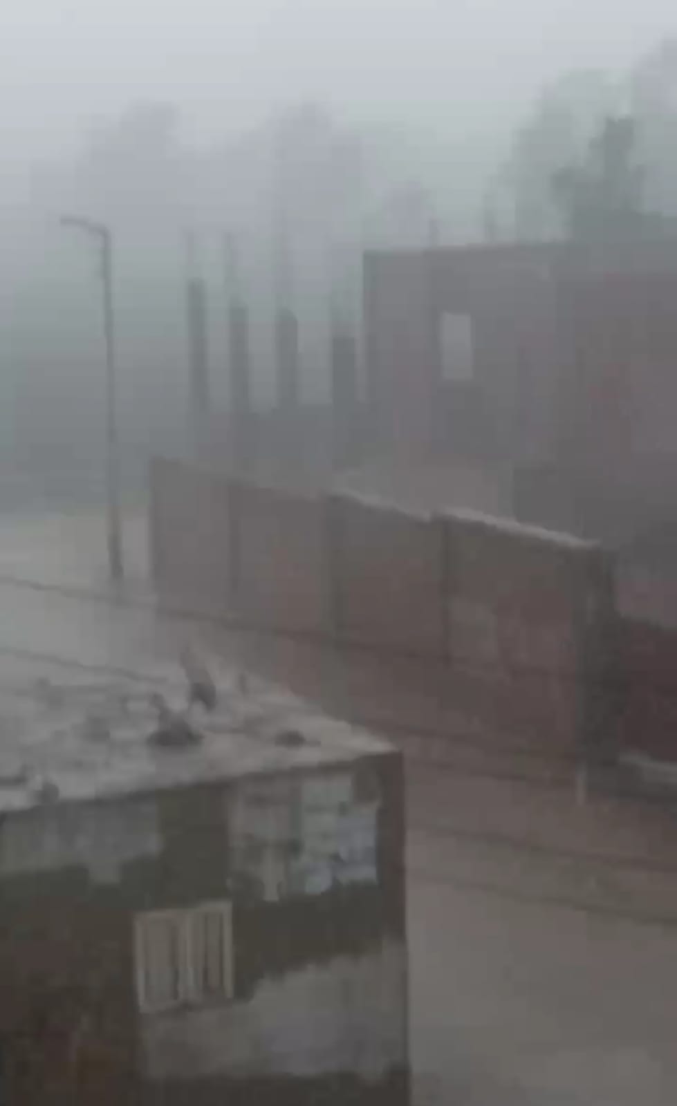 أمطار غزيرة في الشرقية 03