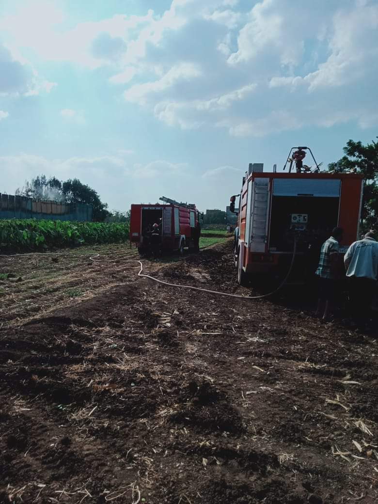 FB_IMG_1666631866340