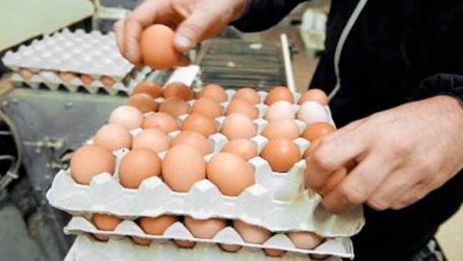 سعر كرتونة البيض الأحمر