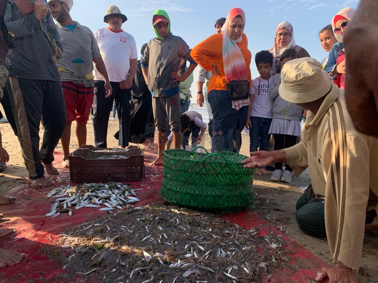 فرز الأسماك علي شاطئ بورسعيد1