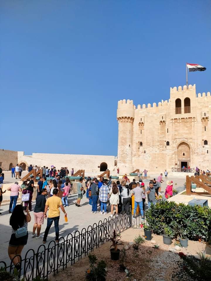 FB_IMG_1667816547724