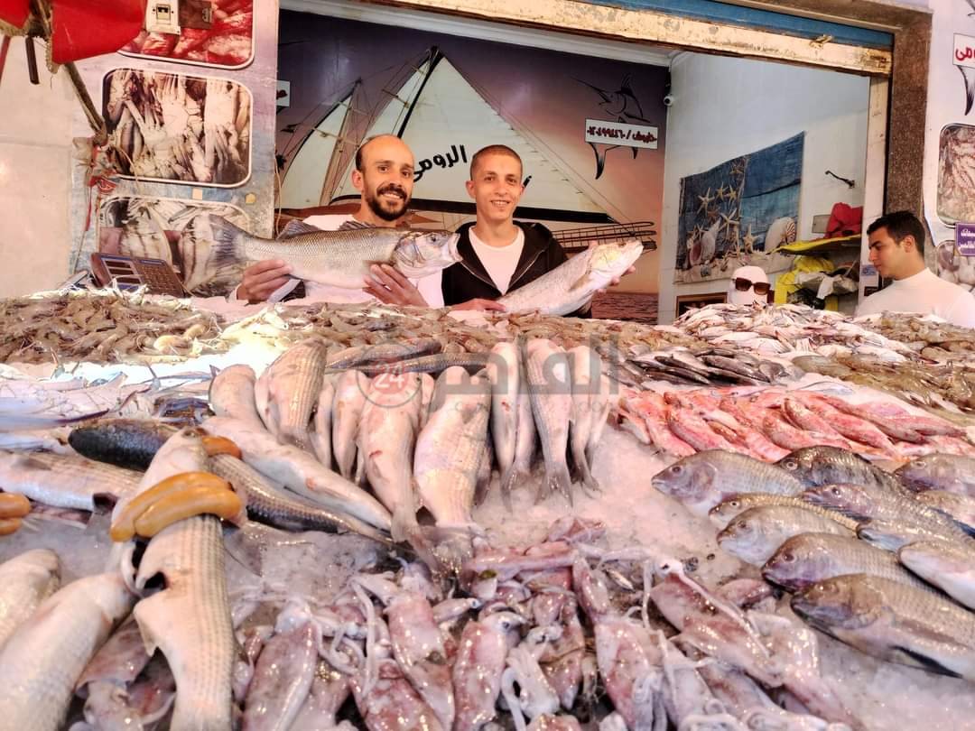 سوق الأسماك النموذجي ببورسعيد 21