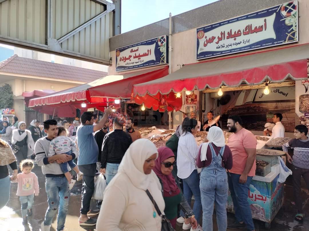سوق الأسماك النموذجي ببورسعيد 20