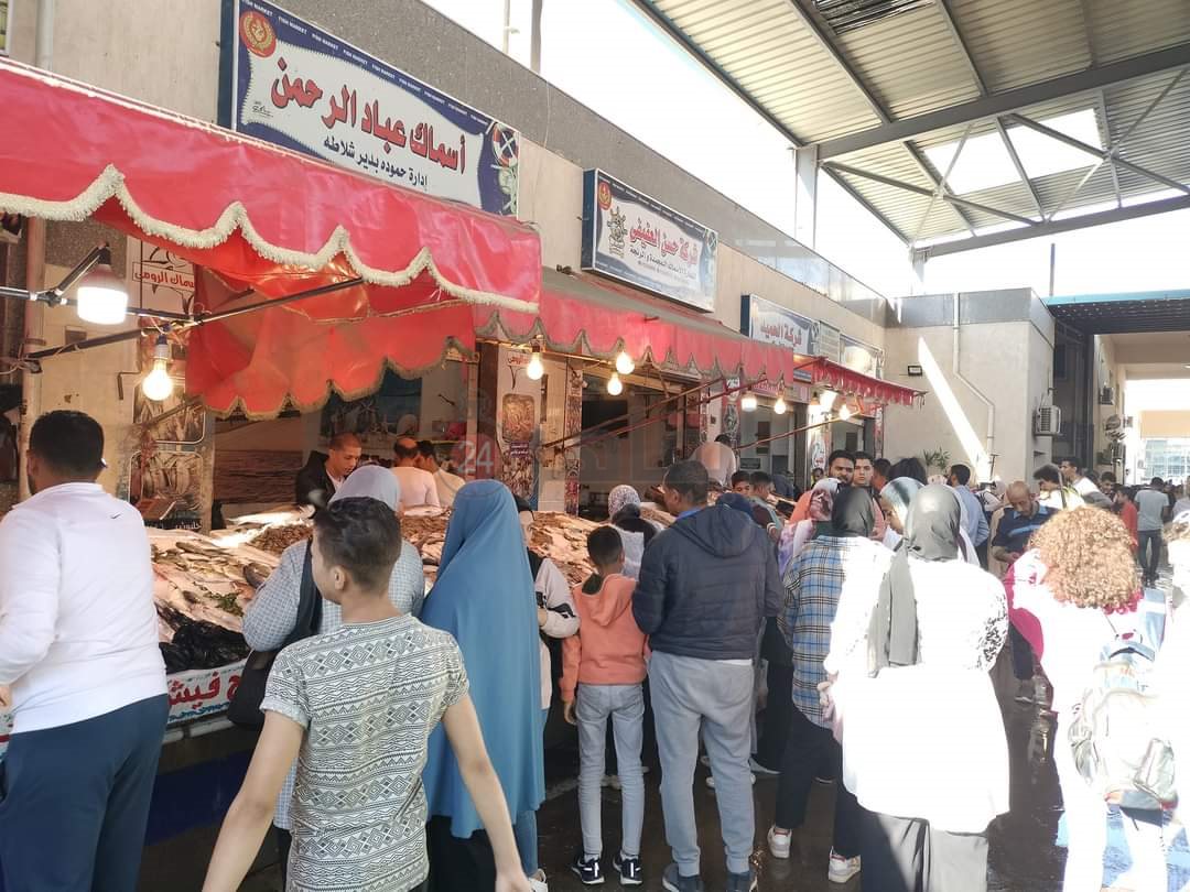 سوق الأسماك النموذجي ببورسعيد 18