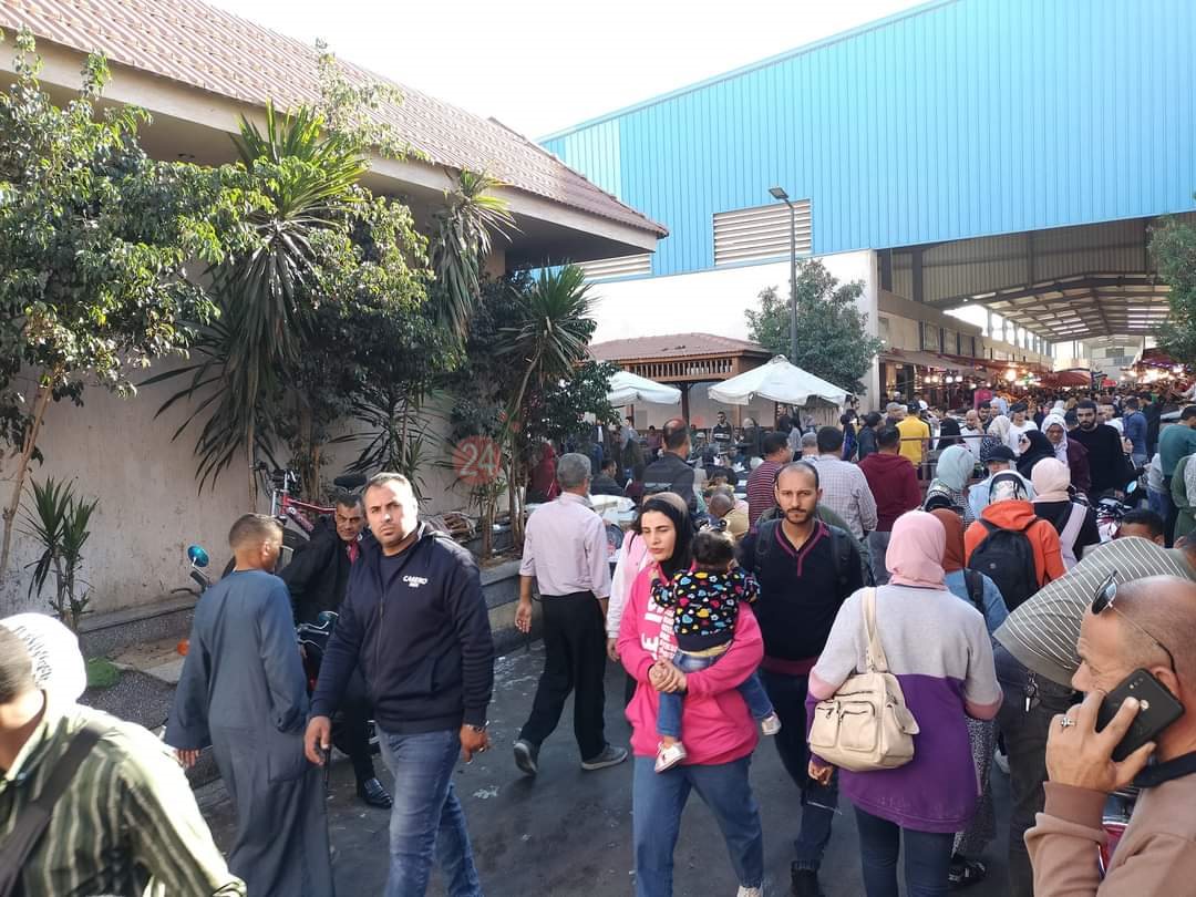 سوق الأسماك النموذجي ببورسعيد 17