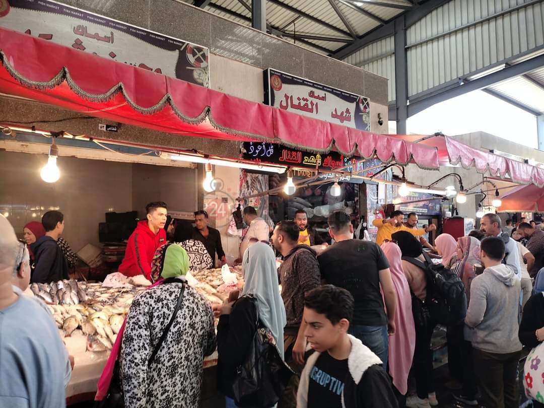 سوق الأسماك النموذجي ببورسعيد 11