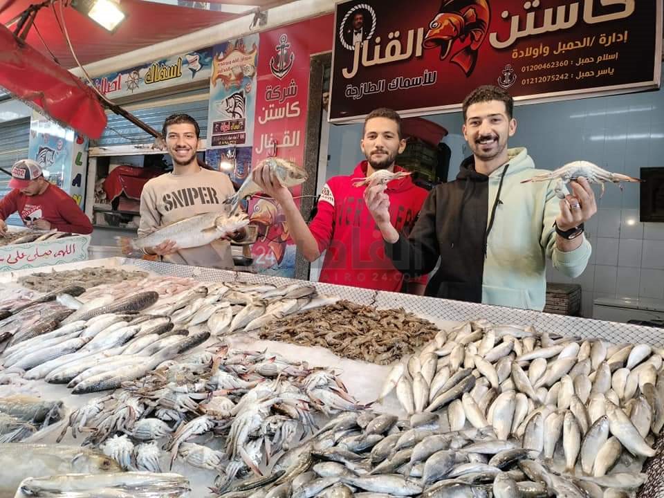 سوق الأسماك النموذجي ببورسعيد 6