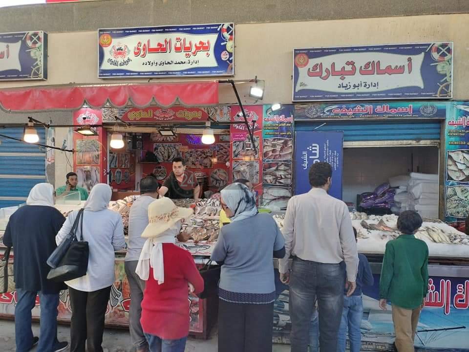 سوق الأسماك النموذجي ببورسعيد 1