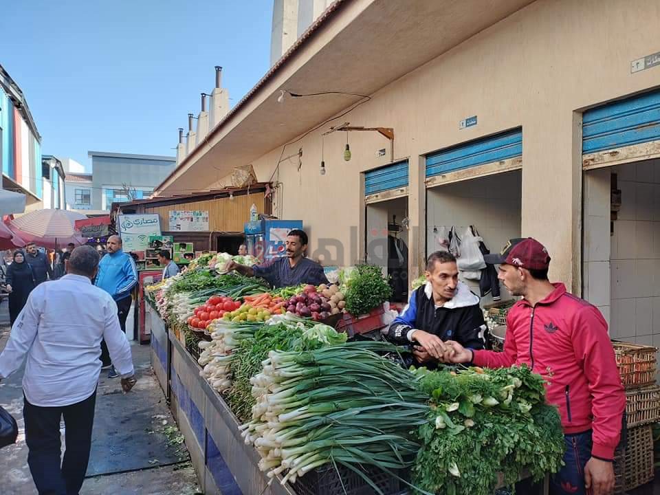 سوق الأسماك النموذجي ببورسعيد. 