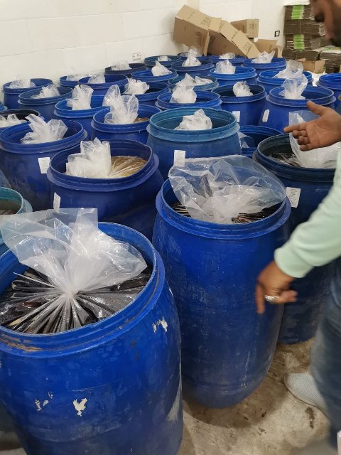 المضبوطات 01