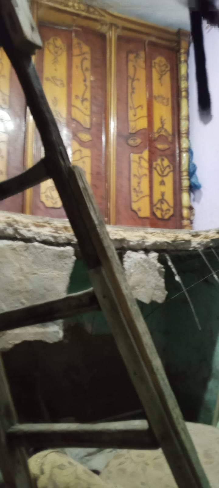 FB_IMG_1669073080331