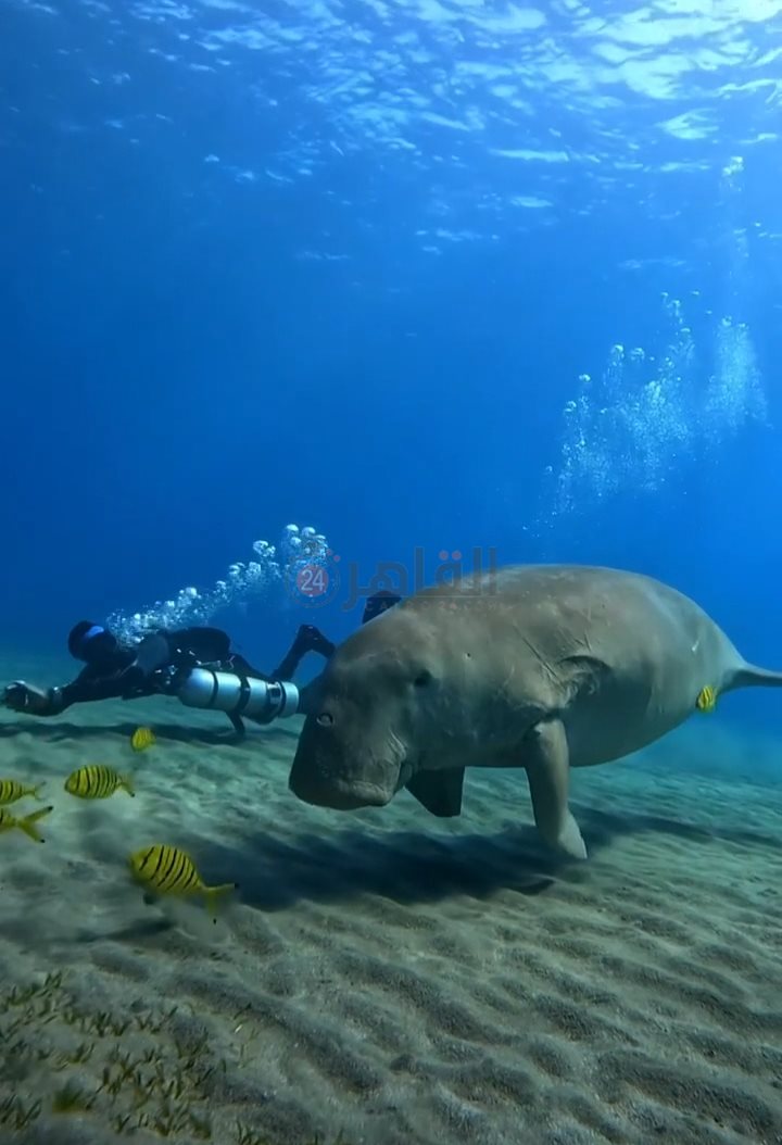 IMG_٢٠٢٢١١٢٢_٠٩٣١٠١١٨