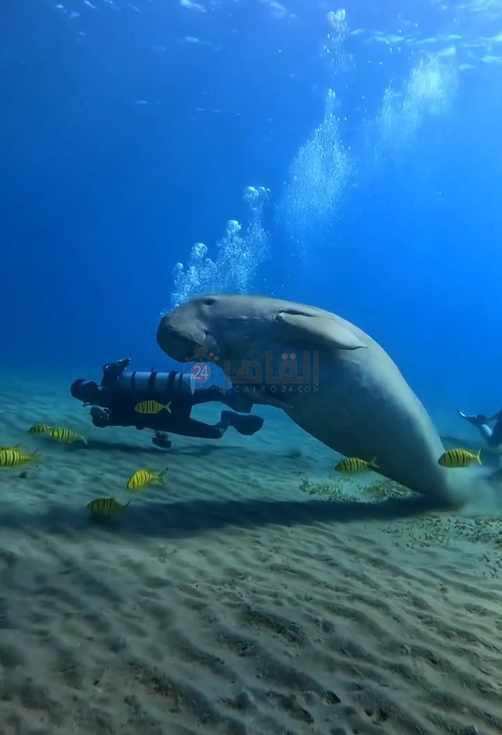 IMG_٢٠٢٢١١٢٢_٠٩٣٠٤٧٣٧