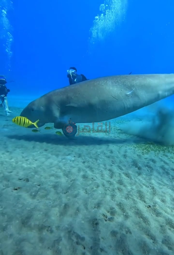 IMG_٢٠٢٢١١٢٢_٠٩٣٠٣٩٩٩