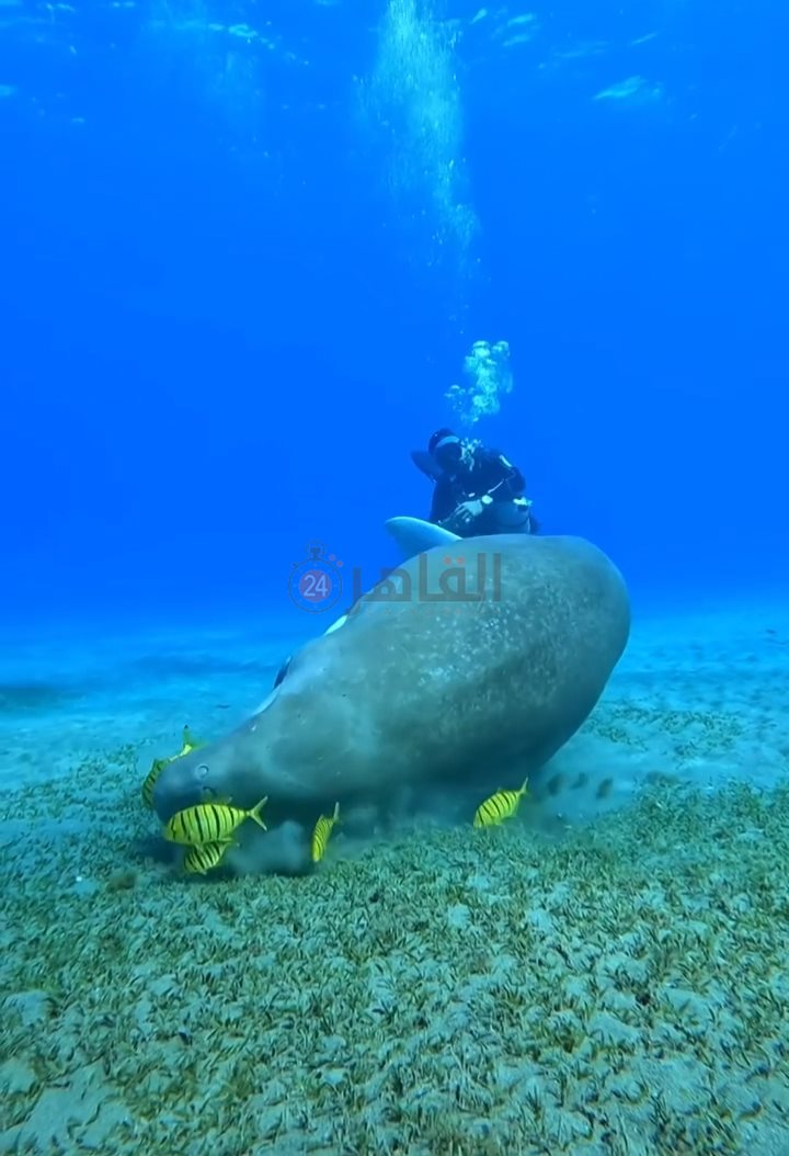 IMG_٢٠٢٢١١٢٢_٠٩٣٠٢١٧٩