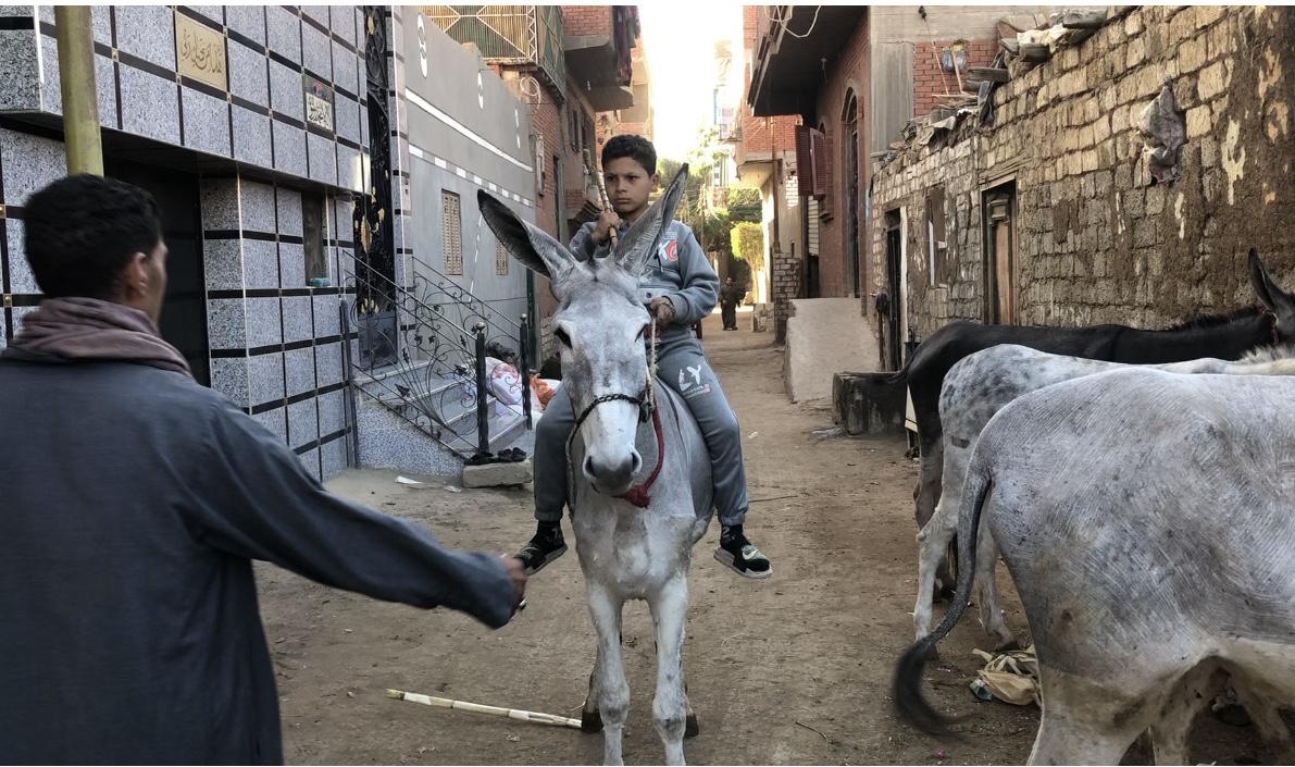 B3C9E8FF-C61B-43F4-908E-BCD71CBC745A