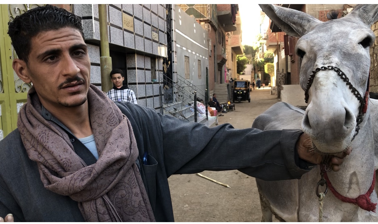 707CC501-C2DB-4638-B9D9-15EF09C29912