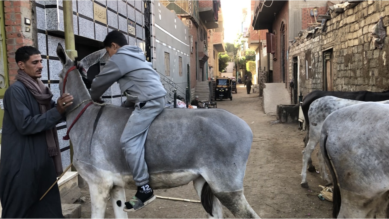 13ED68A9-544A-40FB-B0D7-CED6C42B760C