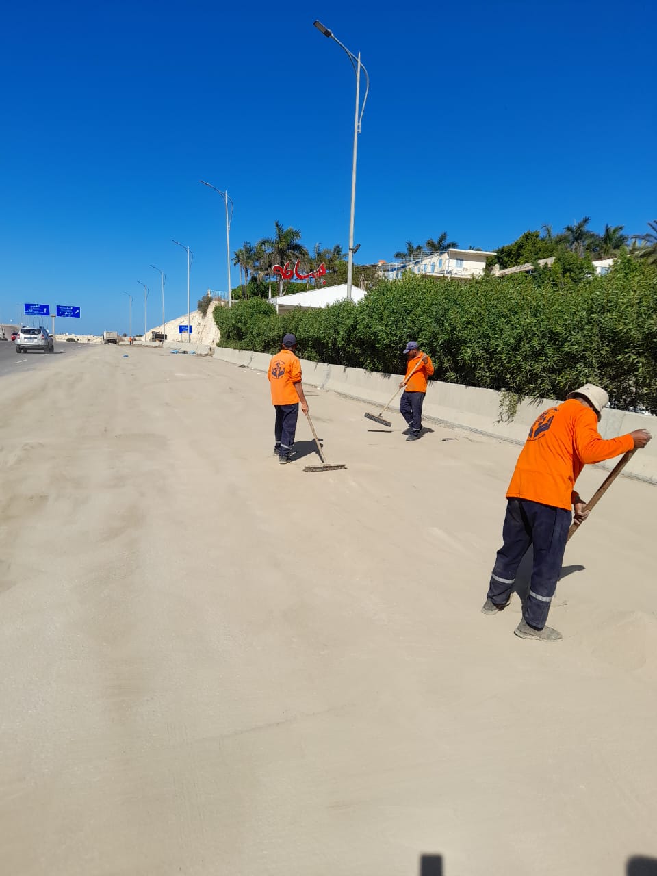 رفع المخلفات الصلبة في الإسكندرية