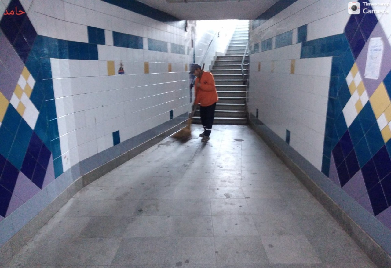 رفع المخلفات الصلبة في الإسكندرية