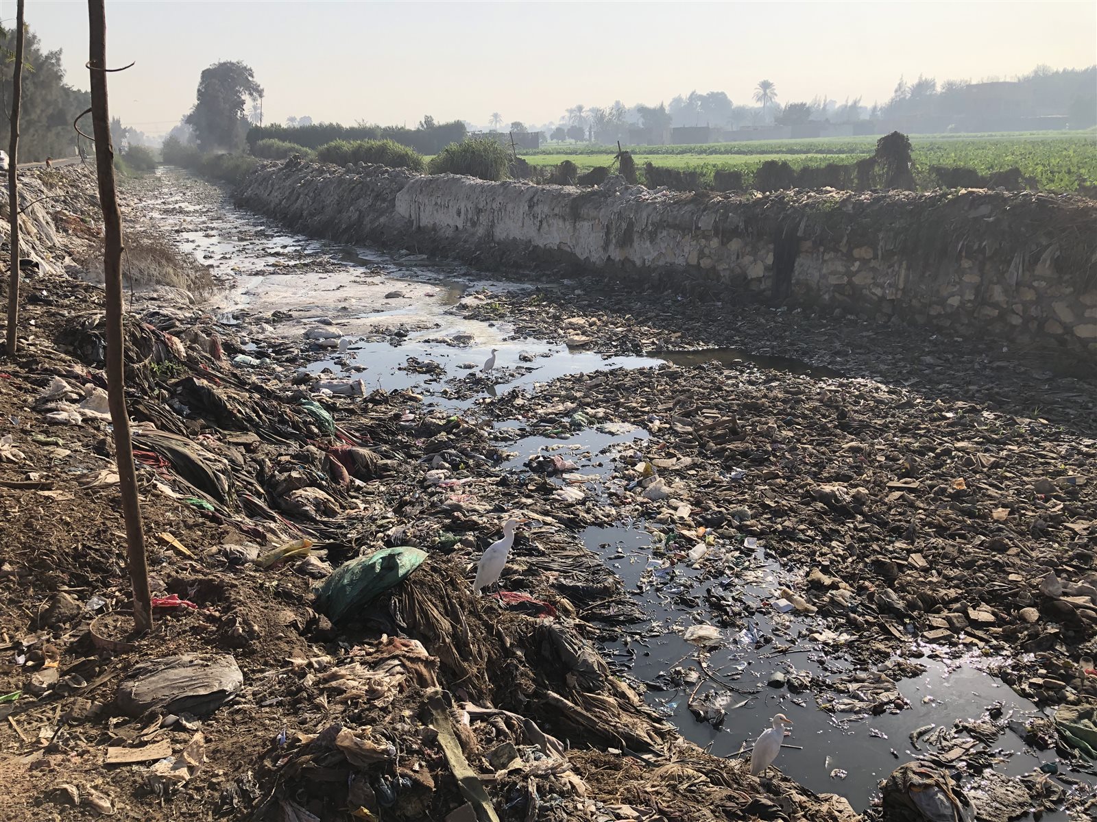 79E1F86F-07A0-4458-9937-F54D935DF36C