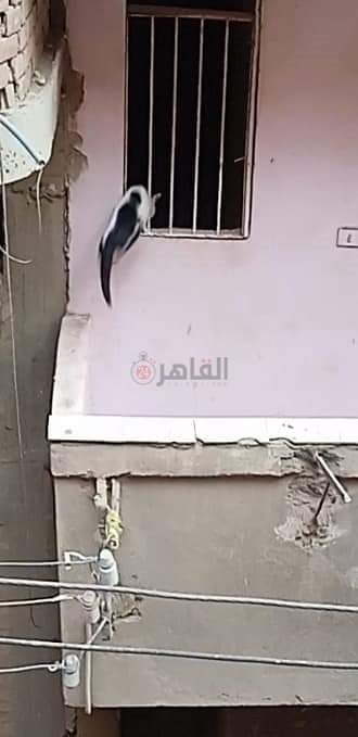 FB_IMG_1670259701751