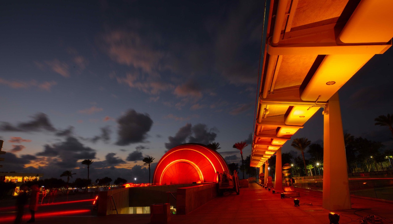 فاعلية مكتبة الإسكندرية لمناهصة العنف ضد المرأة