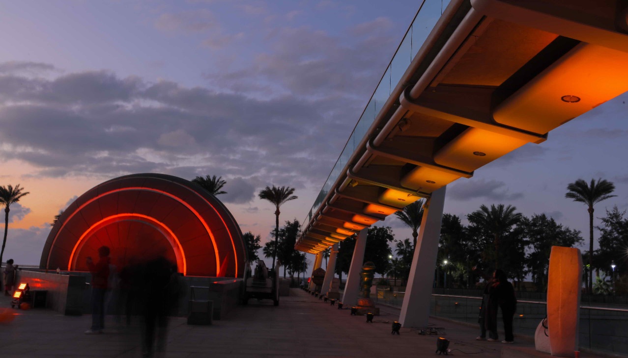 فاعلية مكتبة الإسكندرية لمناهصة العنف ضد المرأة