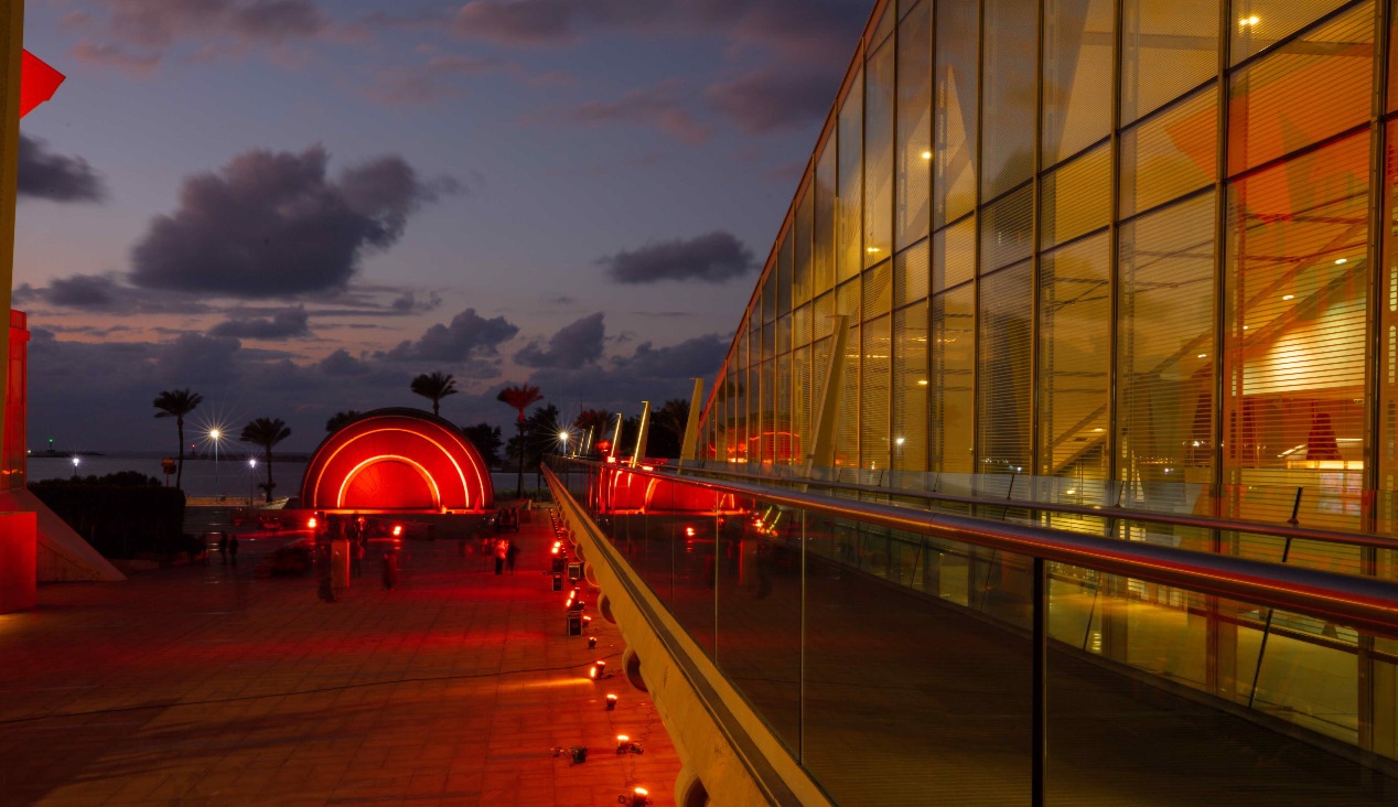 فاعلية مكتبة الإسكندرية لمناهصة العنف ضد المرأة