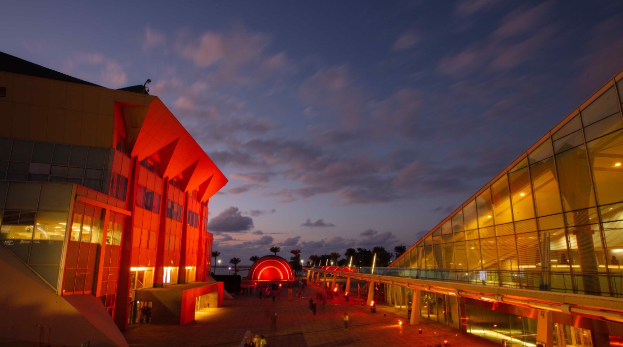 فاعلية مكتبة الإسكندرية لمناهصة العنف ضد المرأة