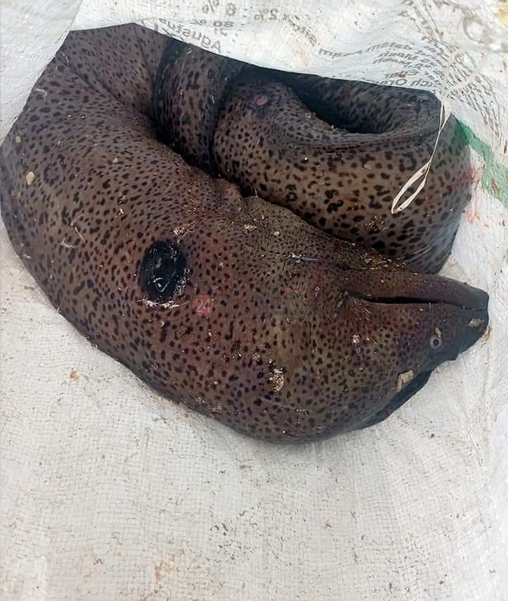 IMG_٢٠٢٢١٢١٥_١١٥٧٠٨