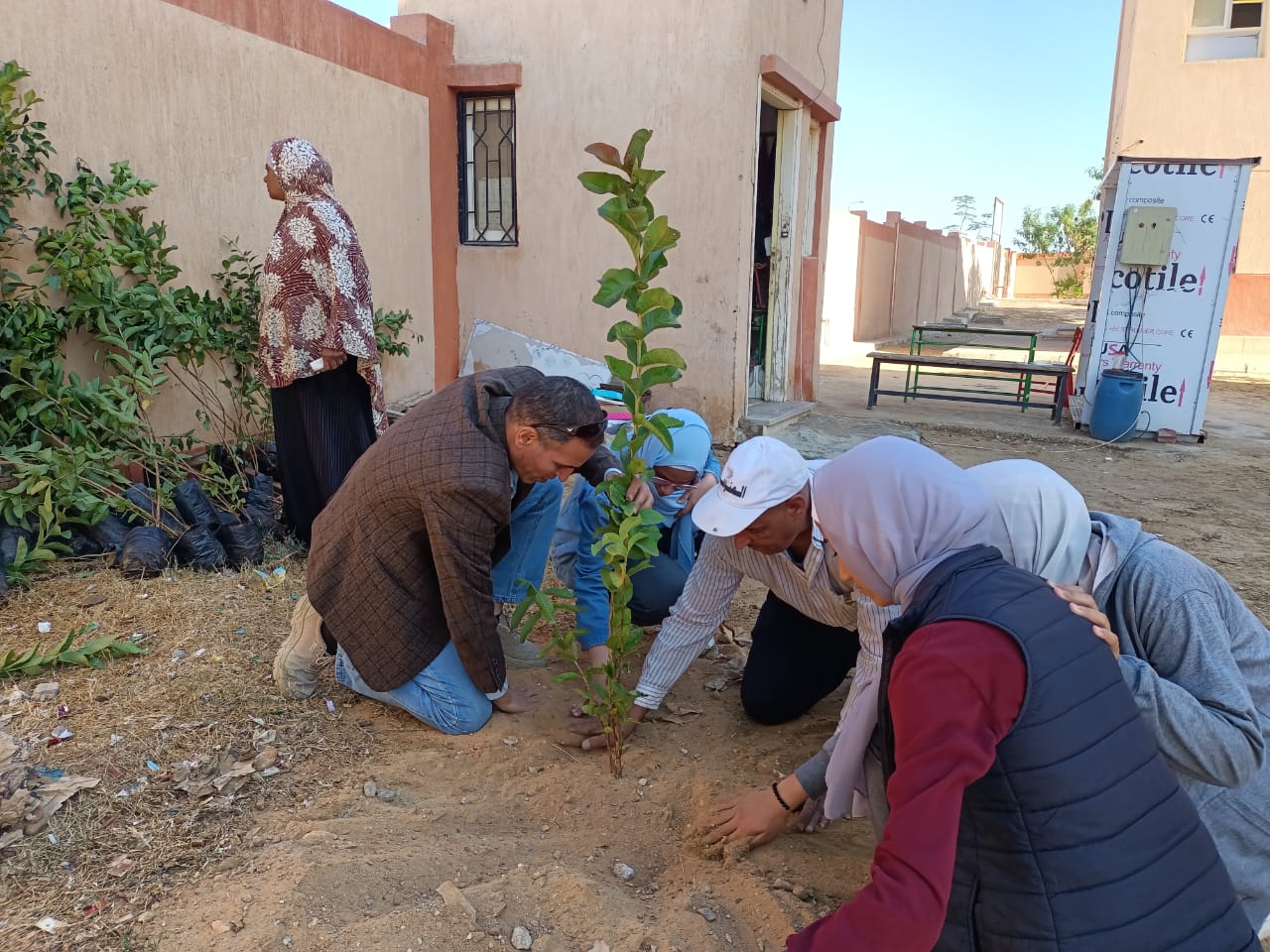 توزيع الأشجار على السكان