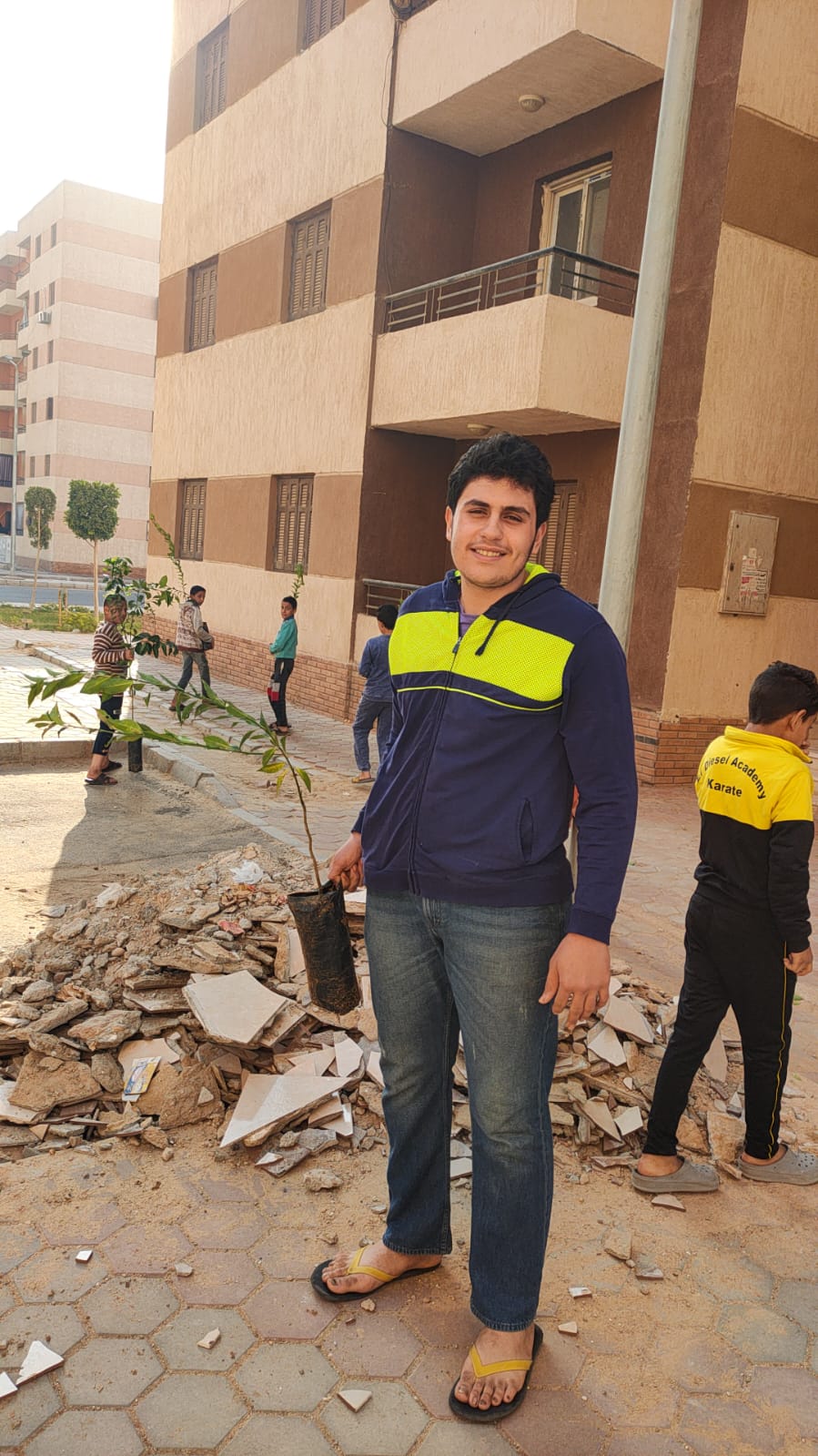 توزيع الأشجار 