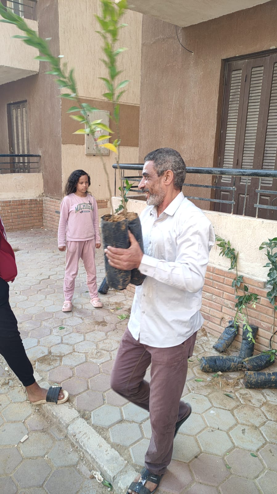 حصول المواطنين على الأشجار