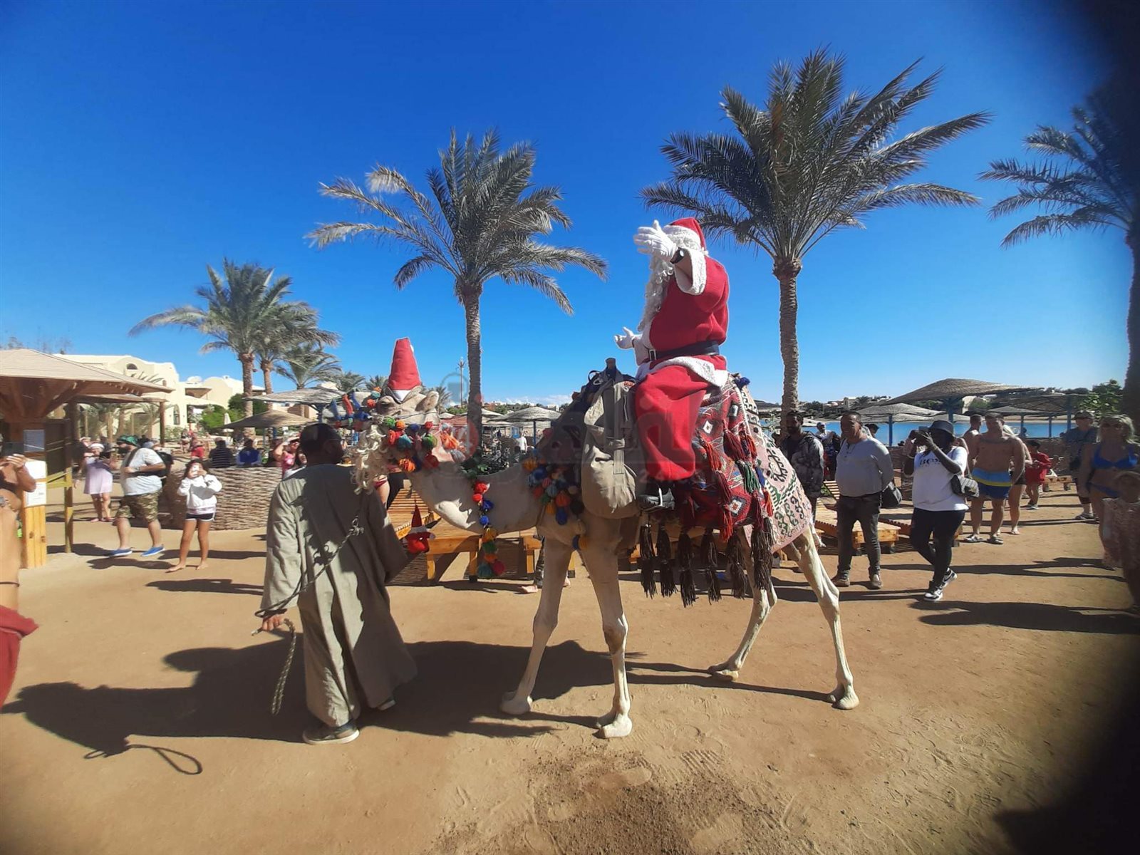 بابا نويل على شواطئ الغردقة 