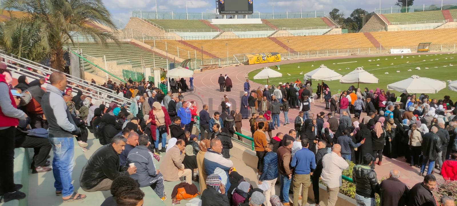 3773d95f-9a27-4fc4-935c-45a3e03bf812